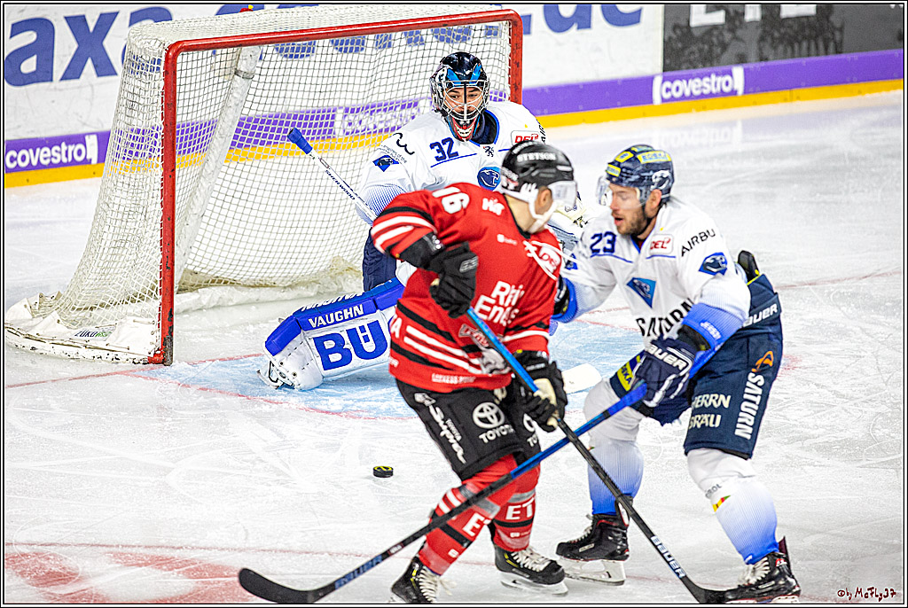DEL; Koelner Haie - ERC Ingolstadt; Koeln, 03.11.2019